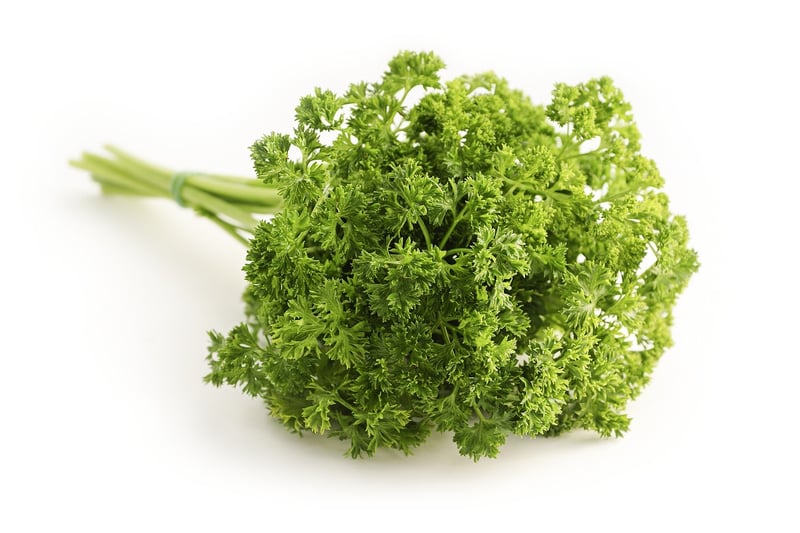 Indoor Herb Garden